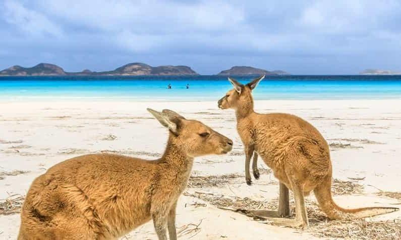Destinations, vols et billets d’avion pas chers au départ de Clermont-Ferrand (CFE) vers l'Australie | A vol d'oiseau.fr