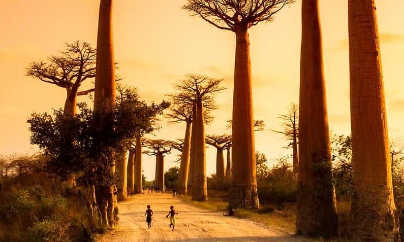 Destinations, vols et billets d’avion pas chers au départ de Paris Roissy (CDG) vers Madagascar | A vol d'oiseau.fr