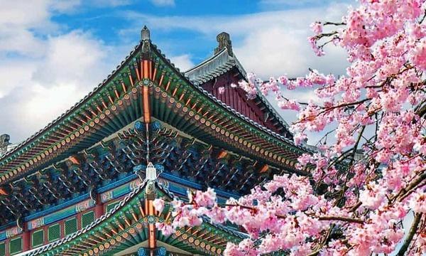 Destinations, vols et billets d’avion pas chers Montpellier Méditerranée (MPL) - Séoul Incheon (ICN) | A vol d'oiseau.fr