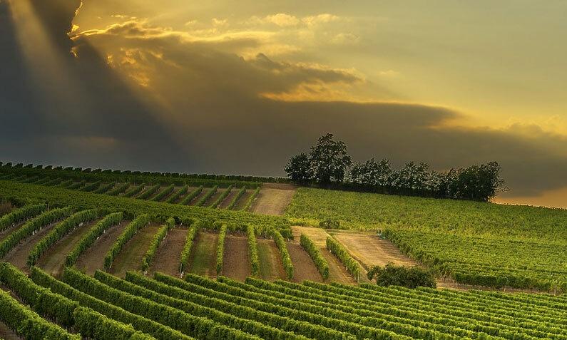 Destinations, vols et billets d’avion pas chers Montpellier Méditerranée (MPL) - Bergerac Dordogne Périgord (EGC) | A vol d'oiseau.fr