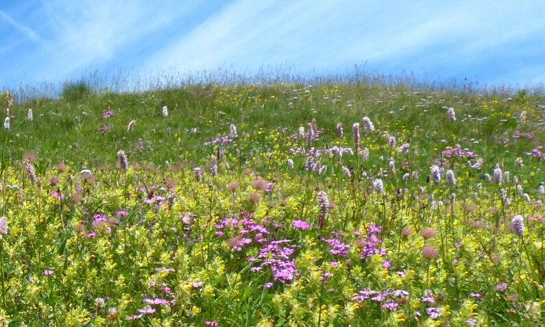 Destinations, vols et billets d’avion pas chers Perpignan (PGF) - Alpes-Maritimes (06) | A vol d'oiseau.fr