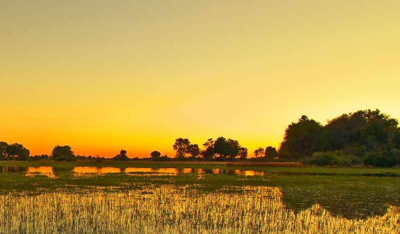 Destinations, vols et billets d’avion pas chers au départ de Marseille (MRS) vers le Botswana | A vol d'oiseau.fr