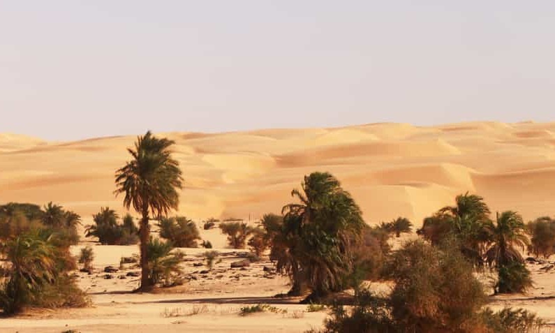 Destinations, vols et billets d’avion pas chers au départ de Marseille (MRS) vers la Mauritanie | A vol d'oiseau.fr