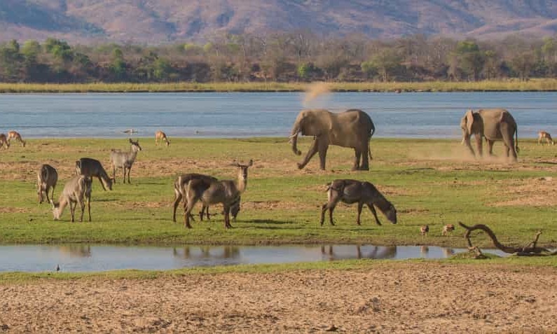 Destinations, vols et billets d’avion pas chers au départ de Marseille (MRS) vers le Zimbabwe | A vol d'oiseau.fr