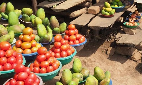 Destinations, vols et billets d’avion pas chers Toulon Hyères (TLN) - Entebbe International (EBB) | A vol d'oiseau.fr